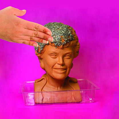 Chia Pet Golden Girls Blanche with Seed Pack, Decorative Pottery Planter, Easy to Do and Fun to Grow, Novelty Gift, Perfect for Any Occasion - style: GG Blanche - Active