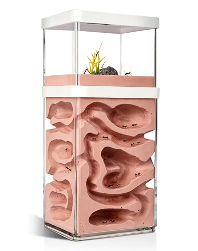 Plaster Ant Habitat with Dual-Zone Nest, 360° Observation, Built-in Expansion Ports for Colony Connection, Ideal for Ant Keeping, Scientific Observation & Student Learning