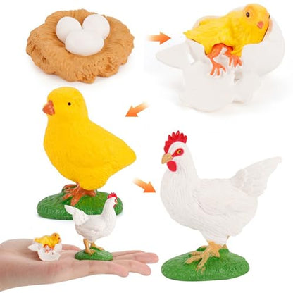 Montessori Life Cycle Animal Figures with Flash Cards, Lifelike Animal Growth Cycle Biological Model Set (Rooster) - style: Rooster