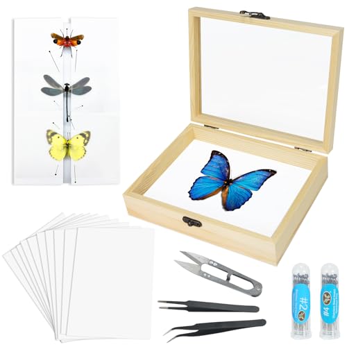 Making Insect Specimen Tools Kit - Insect Pins, Shadow Box, Pinning Board, Wings Pressing Paper, Tweezers, Scissors - Collection Display for Bug Hobbyists/Biology Projects