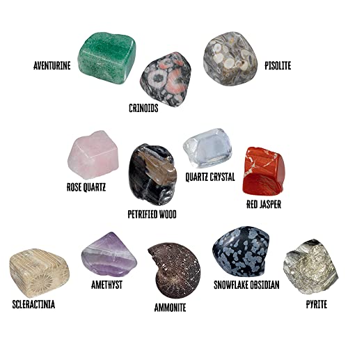 Thames & Kosmos I Dig It! Rocks & Fossils Excavation Gift Set | 24 Excavation Kits w/Mineral & Fossil Specimens | Party Favors, Stocking Stuffer, Easter Baskets | Collect 12 Unique Specimens | EN/FR