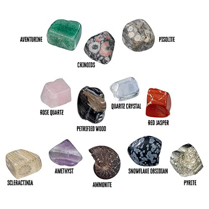 Thames & Kosmos I Dig It! Rocks & Fossils Excavation Gift Set | 24 Excavation Kits w/Mineral & Fossil Specimens | Party Favors, Stocking Stuffer, Easter Baskets | Collect 12 Unique Specimens | EN/FR