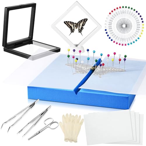 DoubleFill Insect Specimen Kit with Display Case Pins Tools for Biology