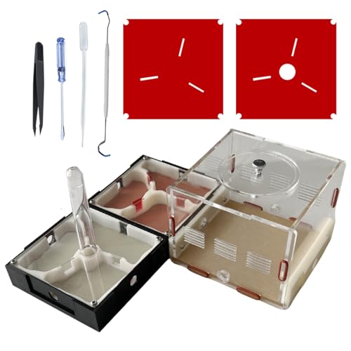Ant Farm Nest STEM Science Learning Kit DIY Terrarium Kit Care for Live Ants Ant Habitat with Water Tower Nurturing Room and Comprehensive Observation-Set 3 - size: 3