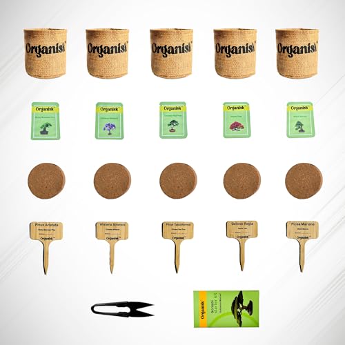 Bonsai Starter Kit - 5 Unique Tree Types, Special DIY Garden Hobby Kits - Great for Plant Lovers, for Kids, Men, Women, and Bonsai Enthusiasts