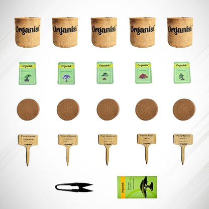 Bonsai Starter Kit - 5 Unique Tree Types, Special DIY Garden Hobby Kits - Great for Plant Lovers, for Kids, Men, Women, and Bonsai Enthusiasts
