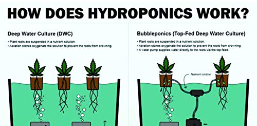 The Atwater HydroPod - DIY Add Your Own Bucket KIT - DWC Deep Water Culture Hydroponic Garden System - Bubble Bucket - with Nutrients and pH Kit - Bucket Not Included