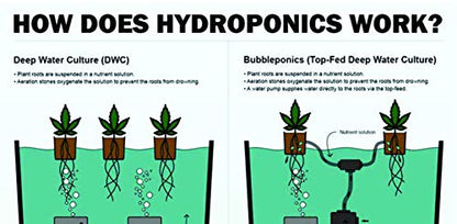 The Atwater HydroPod - DIY Add Your Own Bucket KIT - DWC Deep Water Culture Hydroponic Garden System - Bubble Bucket - with Nutrients and pH Kit - Bucket Not Included