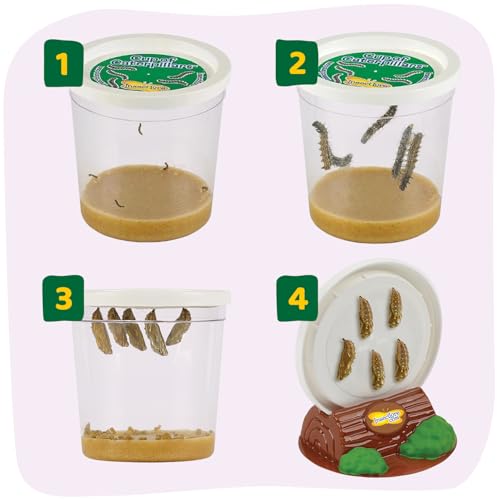 Insect Lore Butterfly Garden with 10 Live Baby Caterpillars - Habitat, Feeder, Chrys-A-Lid Holders, STEM Activity Journal - Raise and Release Painted Lady Butterflies