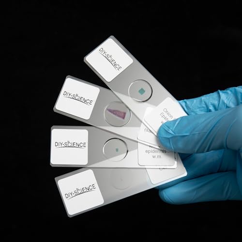 Typical Animals and Plants Cells Microscope Slides, Amphiuma Liver, Human Oral Epithelium, Fava Bean Lower Epidermis, Onion Epidermis, 4 Prepared Slides for Biology Science Class