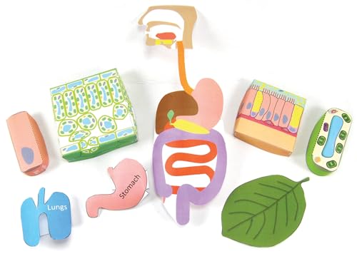 NewPath Cell Organization 3-D Paper Model Making Kit - Individual Student Edition (24-7738)