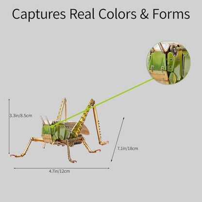 3D Acrylic Insect Puzzle DIY Bug Model Kit Animal STEM Gift - color: Grasshopper