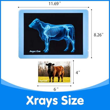 10 Pcs Farm Animal Xrays - Light Table Accessories - style: Farm Series
