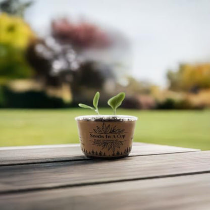 Rhubarb Vegetable Seed Starter Grow Kit, Made in USA, All-in-one Seed Starter Kit Seeds In A Cup® Come with Our Seeds Growth Promise.