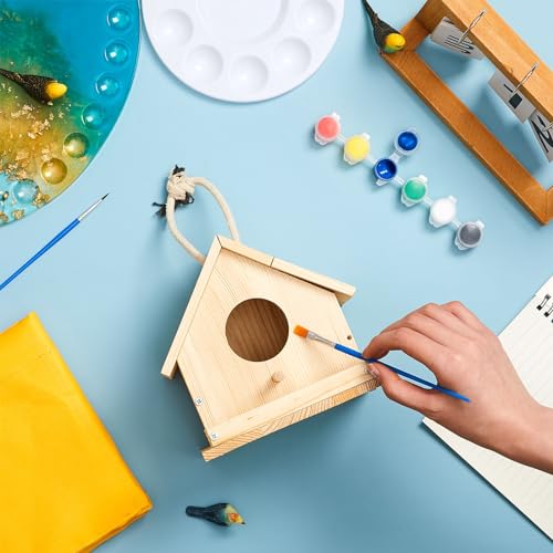 Liliful 2 Sets Wooden DIY Birdhouse Kit for Kids to Build & Paint