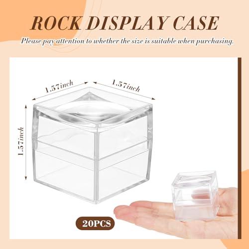 DoubleFill 10 Pack Rock Display Case Clear Rock Collection Boxes Storage