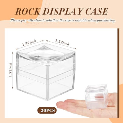 DoubleFill 10 Pack Rock Display Case Clear Rock Collection Boxes Storage