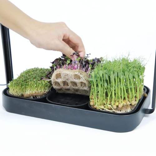Microgreens Growing Trays Bundle, Growing Lamp, 3 Silicone Trays & 18 Jute Mats, Microgreens Growing Kit Refill, Seed Sprouting & Indoor Grow Accessories (No Seeds)