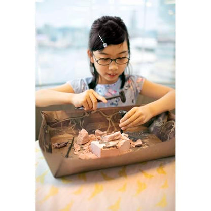 4M Dig a Pteranodon Skeleton Kit for Kids Ages 8-12 – Flying Reptile Fossil Excavation Set with 15 Realistic Bones, STEM Paleontologist Digging Kit with Hammer, Chisel & Brush, Educational Gift