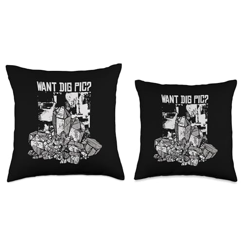 Best Rocks And Minerals Guide Kit Collection Gifts Want Dig Pic Geologist Stone Mineral Collector Throw Pillow, 16x16, Multicolor - size: 16x16