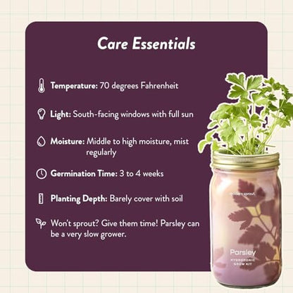 Modern Sprout Mason Garden Jar - Self-Watering Hydroponics Kit - Parsley - color: Parsley, size: Garden Jars