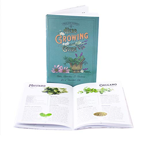 Sustainable Seed Co Culinary Herb Seeds Variety Pack – 10 Non-GMO