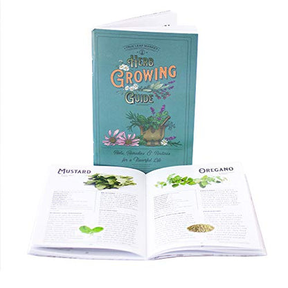 Sustainable Seed Co Culinary Herb Seeds Variety Pack – 10 Non-GMO