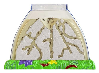 Insect Lore Ant Hill - Ant Habitat with Voucher to Redeem Live Western Harvester Ants - STEM Learning and Education Project for Classrooms or Homeschool