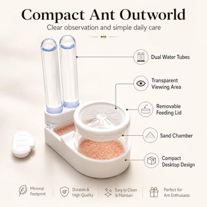 Beginner Ant Nest with Foraging Area and Humidity Zone, Dry Wet Separation Plaster Chamber, Fits 15mm Test Tubes, for Small to Medium Ant Colonies - size: Starter Kit