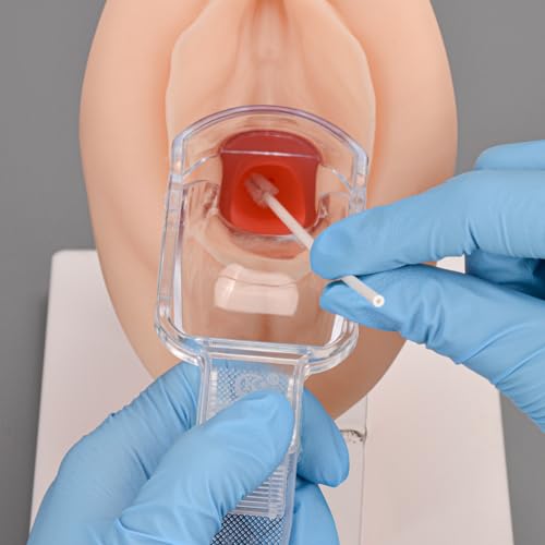 Pelvic Health Model, Gynecological Examination Trainer