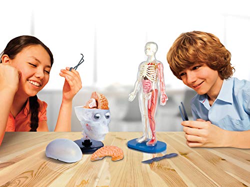 SMARTLAB Toys Totally Squishy from Head-to-Toe - 60 Pieces - 36 Removable Parts - 12" Human Body Model & Stand - 24-Page Illustrated Book - Includes Glowing Eyeballs!