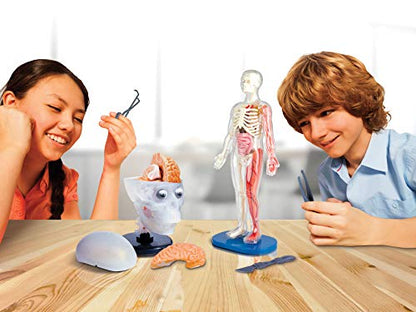 SMARTLAB Toys Totally Squishy from Head-to-Toe - 60 Pieces - 36 Removable Parts - 12" Human Body Model & Stand - 24-Page Illustrated Book - Includes Glowing Eyeballs!