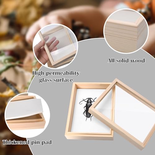 Saihisday Insect Display Case Box Small Bug Display Case Shadow Box