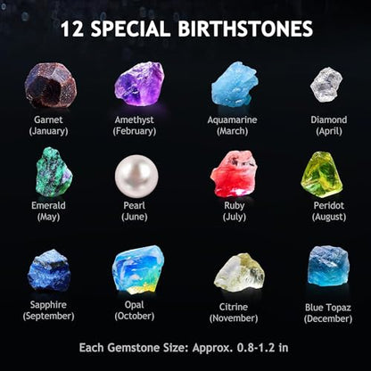 Japace Earth Science Kits for Kids Age 6-8-12-14, Birthstone Gems Dig Kit