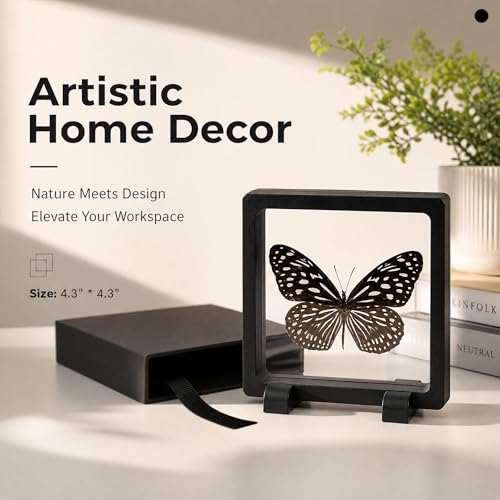 1pc 3D Suspension Frame with Real Butterfly Specimen Protective PE Film Box Creative Home Decor Collectible (Tirumala limniace Butterfly) - color: Tirumala Limniace Butterfly