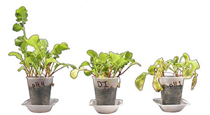 ALDON Innovating Science Acid Rain and The Environment: Acidity and Plant Growth Hands-On Kit - Materials for 15 Groups of Students