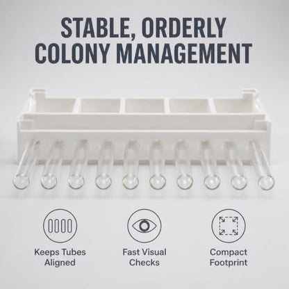 Stackable Ant Farm Formicarium with 10 Test Tubes, White Plastic Base, 5 Compartments, 15mm/18mm Tube Options (15 mm Test Tubes) - size: 15 mm test tubes