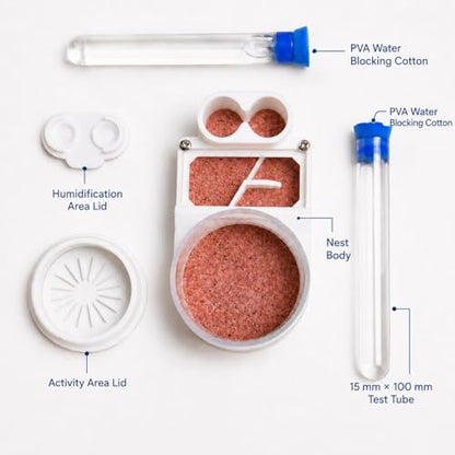 Beginner Ant Nest with Foraging Area and Humidity Zone, Dry Wet Separation Plaster Chamber, Fits 15mm Test Tubes, for Small to Medium Ant Colonies - size: Starter Kit