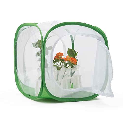 Two Doors Monarch Butterfly Habitat, Insect Mesh Cage, Caterpillar Enclosure Terrarium Pop-up (12 X 12 X 12 Inches) - size: 12 X 12 X 12 Inches