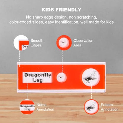 48 Prepared Microscope Slides Set of Animals Insects Plants Flowers, Biological Learning Resource Specimens for Kids Beginner Classroom Basic Science Education