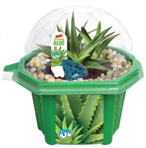 Toys By Nature Character Micro Dome Aloe Plant Terrarium Kit, Decorative and Easy-to-Grow Mini Terrariums with Complete Supplies, Grow Your Own Decorative Plants! (Alex The Soothing Aloe)