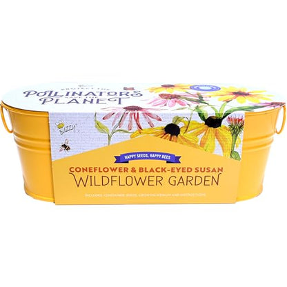 Buzzy Seeds Coneflower & Black-Eyed Susan Grow Kit, Metal Planter