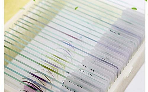 Set of 50 Prepared Basic Microscope Pathology Slides for Human Medicine Medical School Study Education Teaching