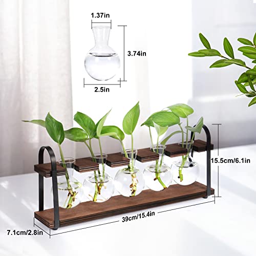 5-Bulb Plant Propagation Station, Glass Vase Terrarium, Wood Metal Stand - color: Dark Brown