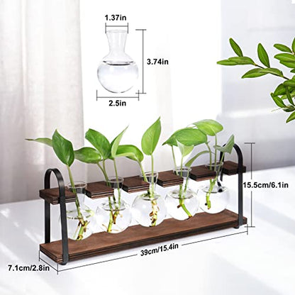 5-Bulb Plant Propagation Station, Glass Vase Terrarium, Wood Metal Stand - color: Dark Brown