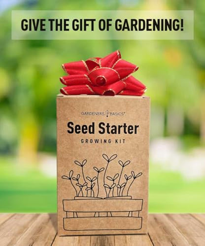 Beginner Indoor Garden Lettuce Kit - Includes Romaine, Buttercrunch Lettuces, Spinach, Arugula, and Kale Heirloom Seeds, Pots, Soils and Plant Markers - Complete Indoor Vegetable Garden Starter Kit
