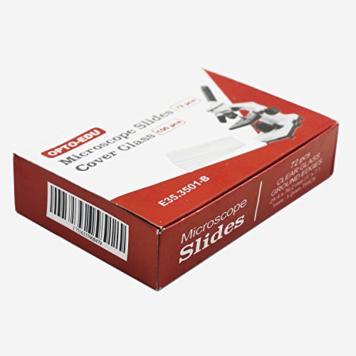 E35.3501 Blank Microscope Slides & 100-Pieces Square Cover Glass, Glass