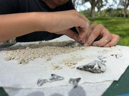 Megalodon Shark Tooth Dig Kit - Authentic Fossils Found in The USA(Megalodon Fragment Guaranteed + Lemon & Bull Shark Teeth) - Uncover Real Fossils - Perfect STEM Gift for Kids