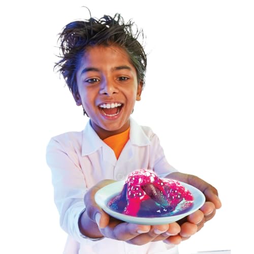 ALEX Toys Scientific Explorer My First Mind Blowing Science Kids Science Experiment Kit, Multicolor, Small