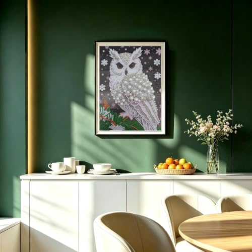 5D Diamond Art Pearl Painting Kits for Adults, DIY Owl Diamond Art Kits - color: OWL 003